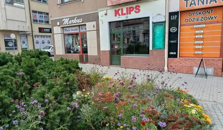 Lokal Dębica, ul. Spółdzielcza