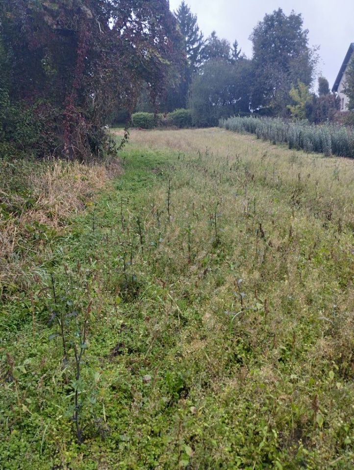 Działka budowlana Dąbrowica. Zdjęcie 5