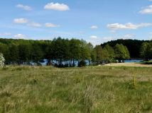 Działka rekreacyjna Sikory. Zdjęcie 3