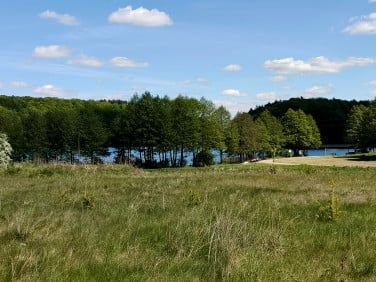 Działka rekreacyjna Sikory. Zdjęcie 4