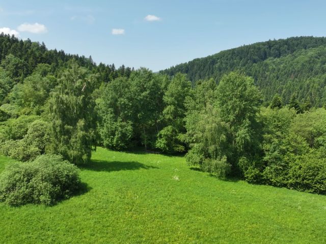 Działka rolna Baligród. Zdjęcie 7