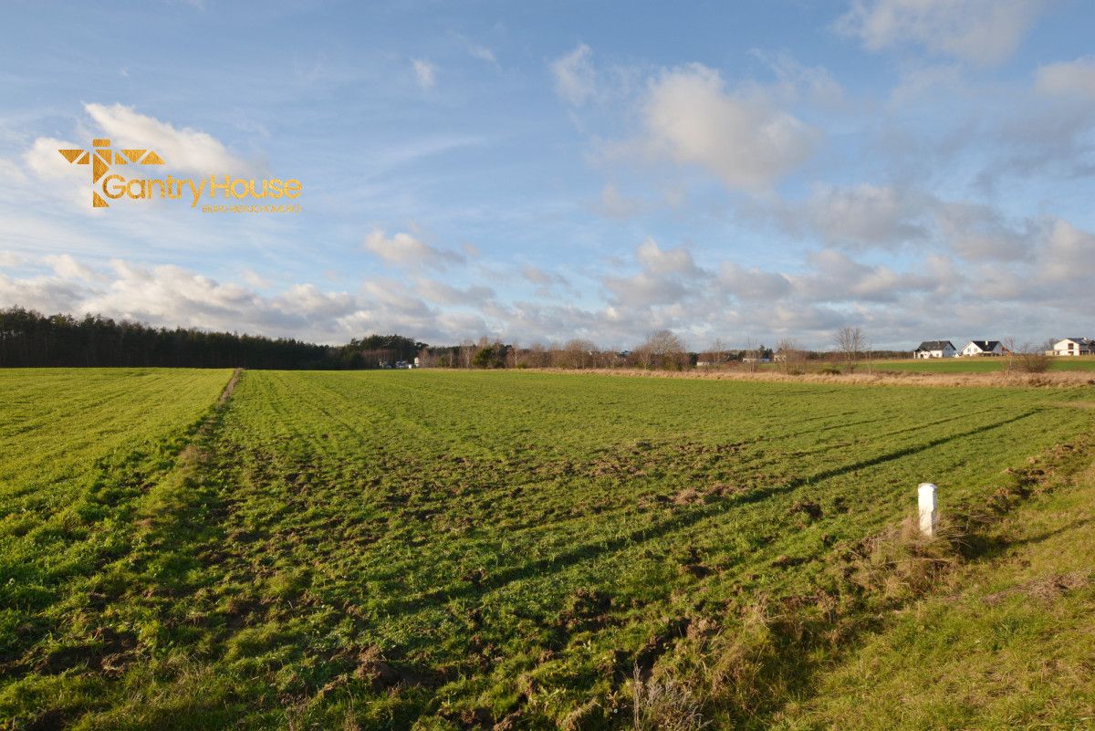 Działka inwestycyjna Dębogórze, ul. Chmielna. Zdjęcie 6