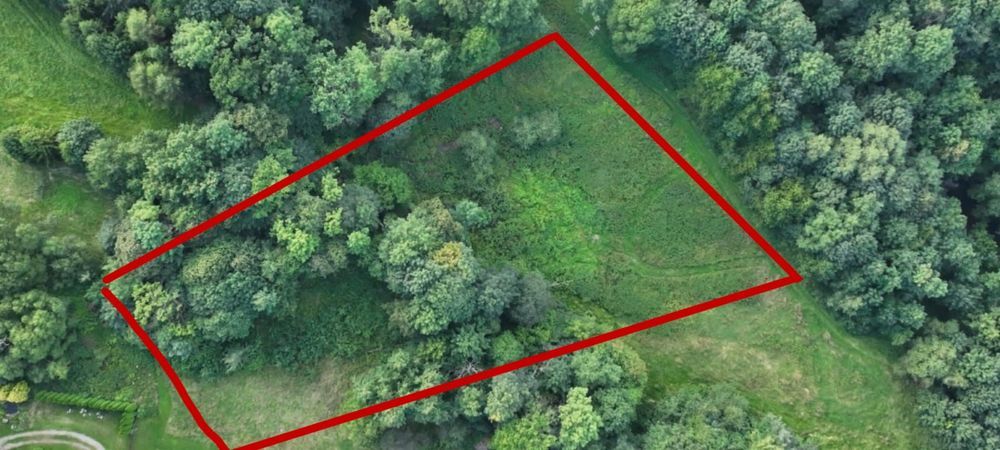 Działka budowlana Ostre. Zdjęcie 5