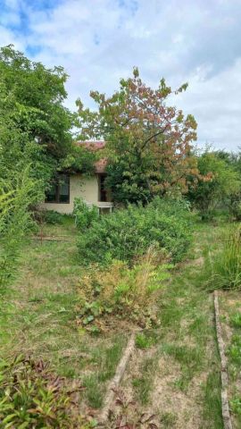 Działka rod Zielona Góra Jędrzychów. Zdjęcie 1