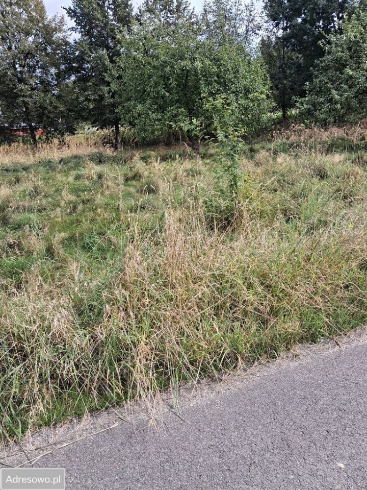 Działka budowlana Sulików. Zdjęcie 2