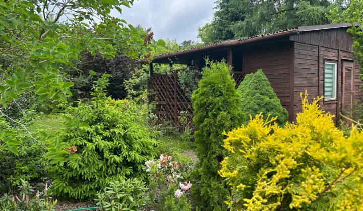 Działka rod Komorów