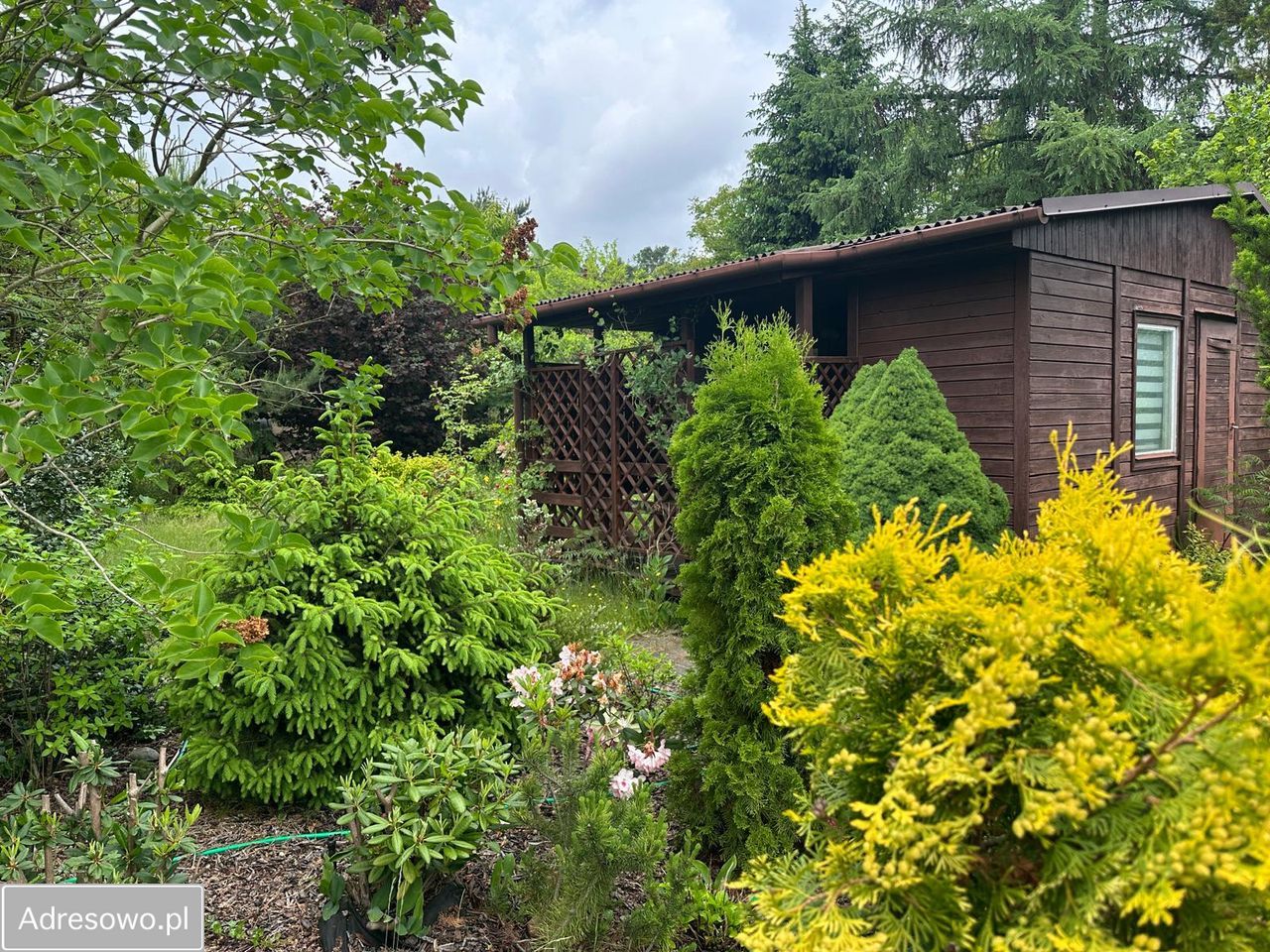 Działka rod Komorów. Zdjęcie 1