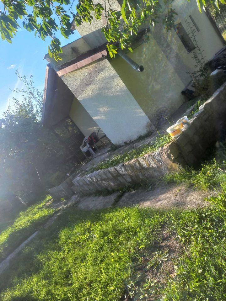 Zdjęcie 3