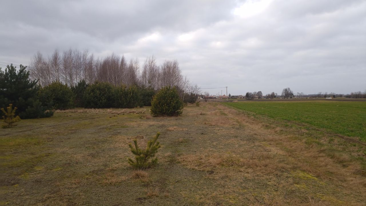 Działka rolno-budowlana Borówek. Zdjęcie 4