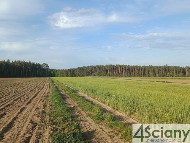 dom wolnostojący, 3 pokoje Wyszonki-Klukówek. Zdjęcie 48