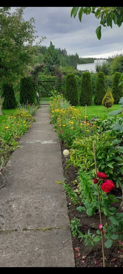 Działka rod Olsztyn. Zdjęcie 6