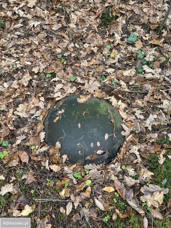 Działka leśna Adamów-Wieś, ul. Kaliny. Zdjęcie 2