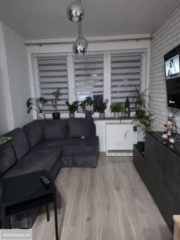 Mieszkanie 3-pokojowe Sulęcin, pl. Plac Adama Mickiewicza. Zdjęcie 1