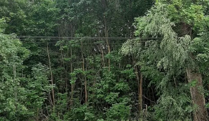 Działka rolno-budowlana Tuszyn, ul. ks. Piotra Ściegiennego