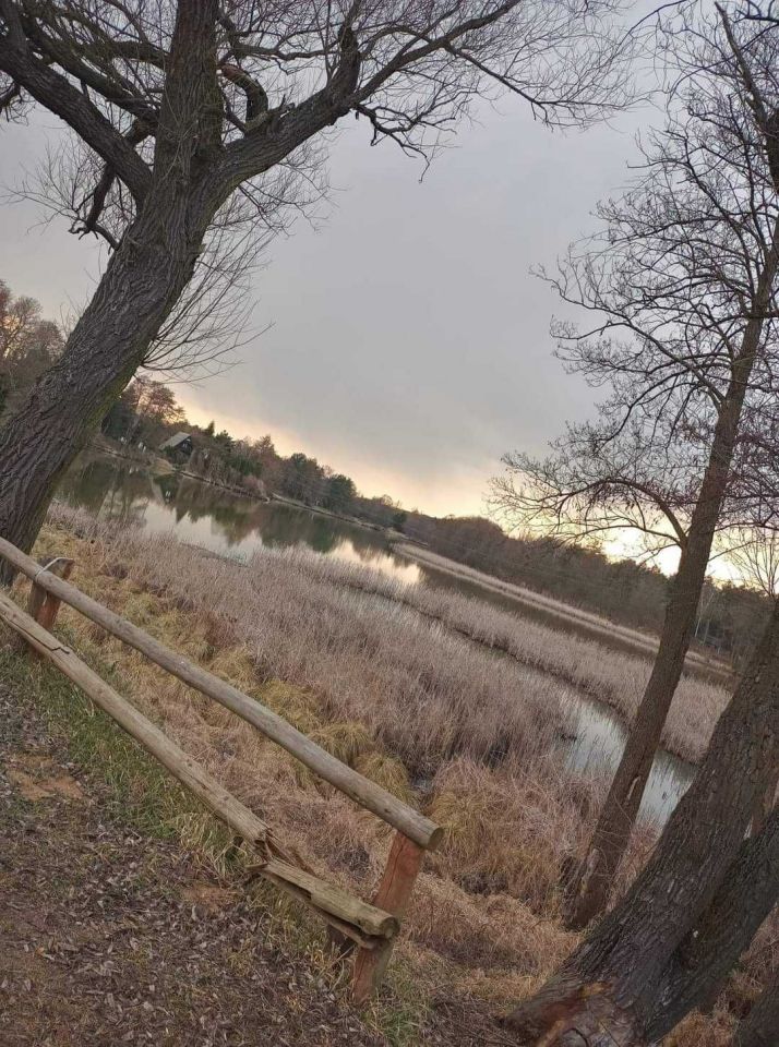 Działka Stawinoga. Zdjęcie 5