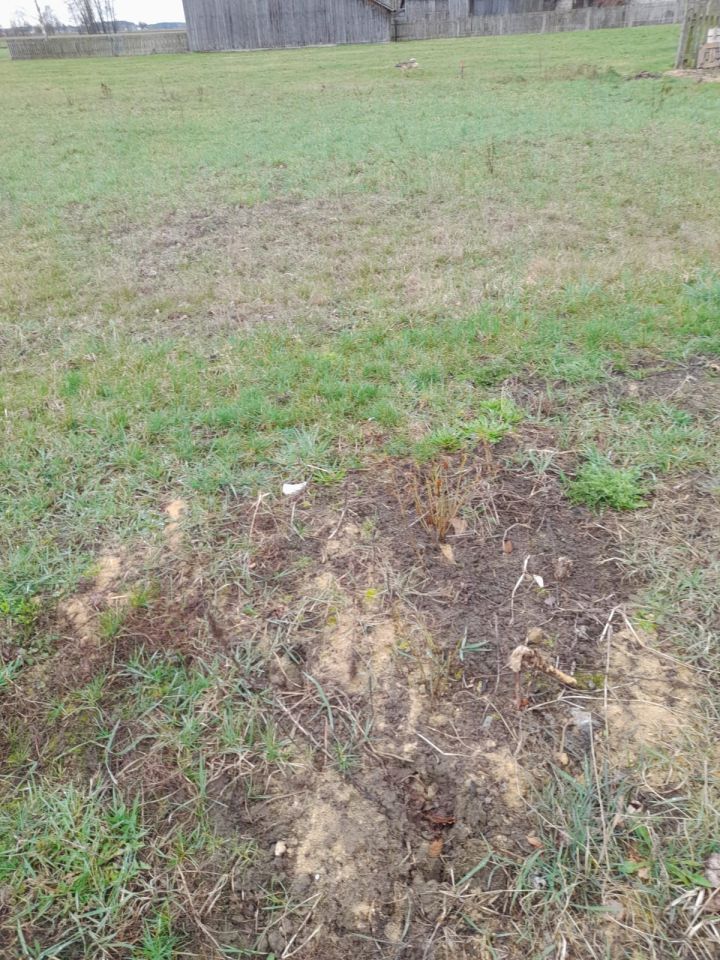 Działka rolno-budowlana Nowy Strachocin. Zdjęcie 2