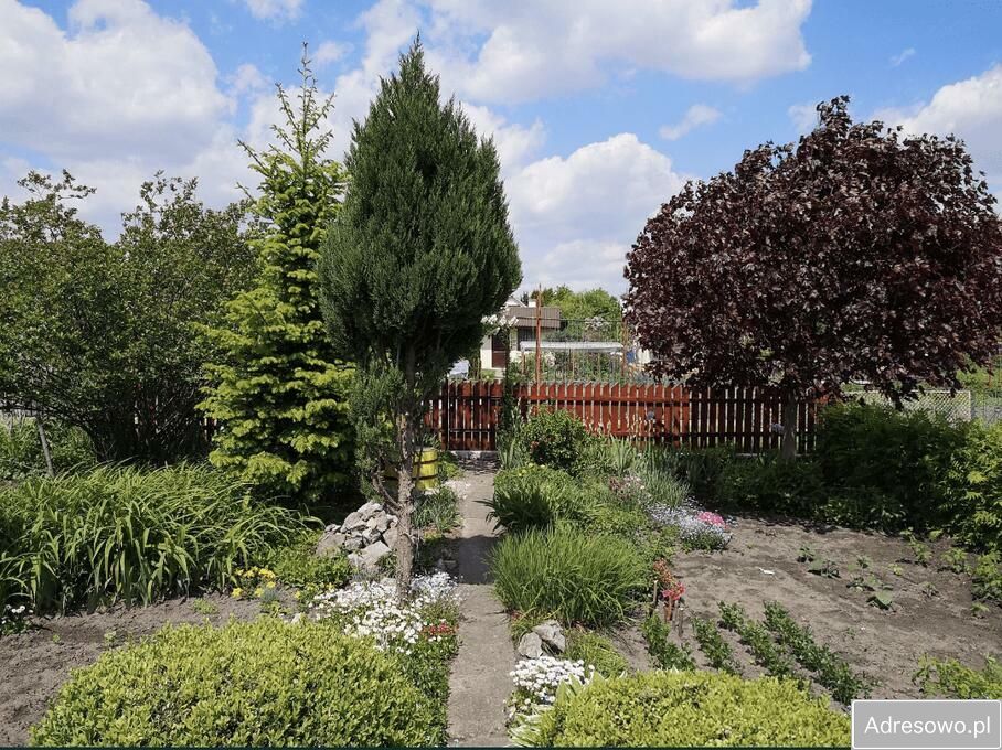 Działka rod Tarnobrzeg. Zdjęcie 7