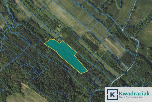 Działka leśna Końskie. Zdjęcie 5