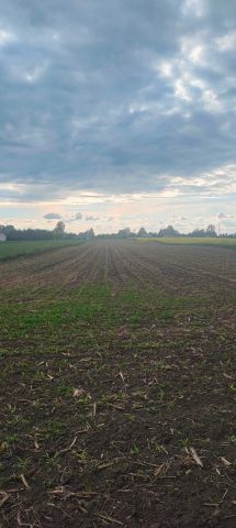 Działka rolna Moroczyn. Zdjęcie 1