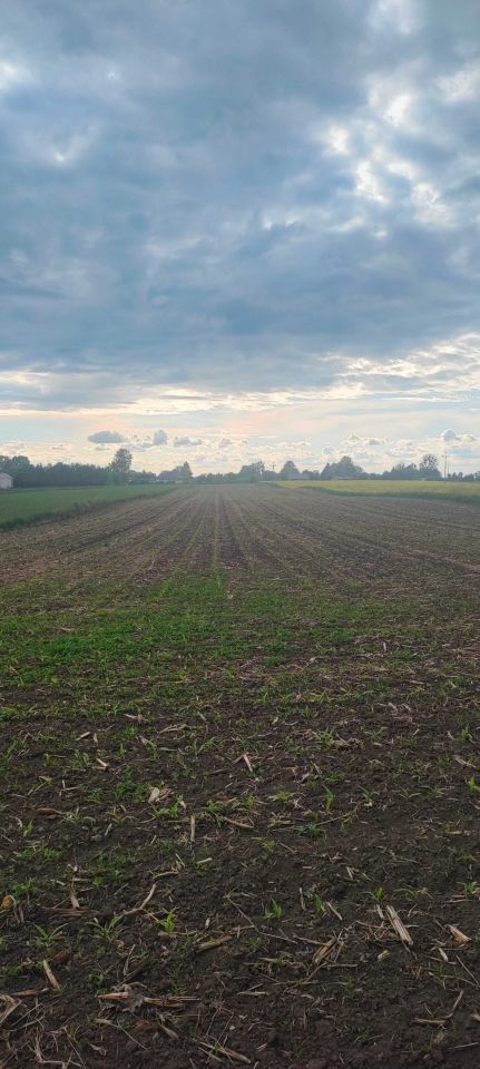 Działka rolna Moroczyn