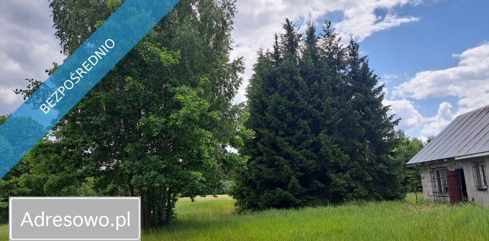 Działka siedliskowa Luta. Zdjęcie 9