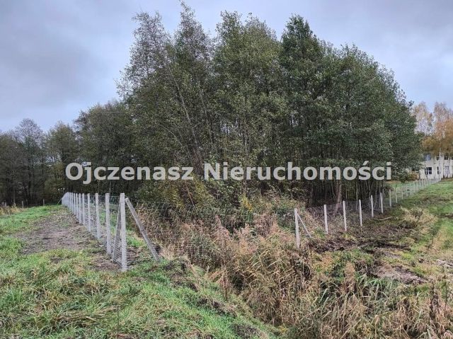 Działka rolna Kruszyn Krajeński. Zdjęcie 1