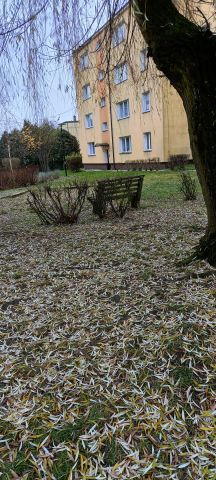 Mieszkanie 1-pokojowe Starogard Gdański Centrum, ul. Osiedlowa. Zdjęcie 14