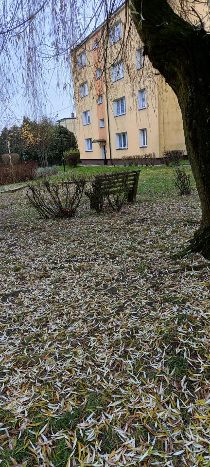 Mieszkanie 1-pokojowe Starogard Gdański Centrum, ul. Osiedlowa. Zdjęcie 14