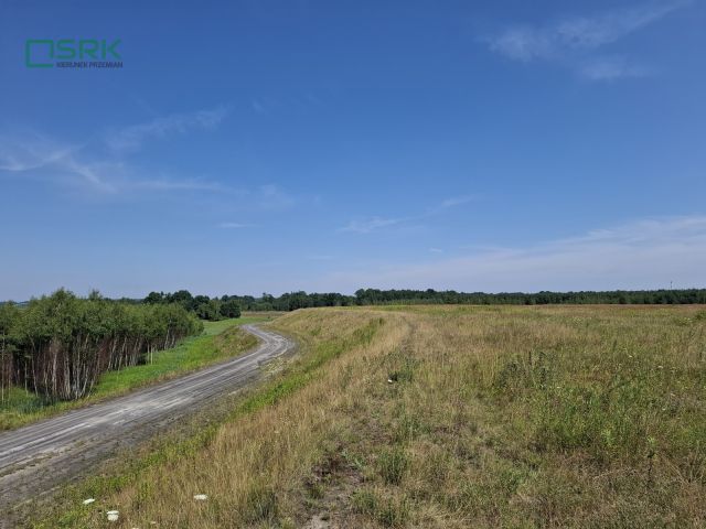 Działka inna Gierałtowice. Zdjęcie 4