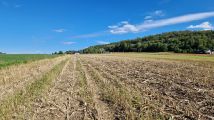 Działka rolna Goleszów. Zdjęcie 3