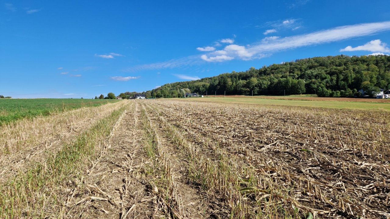 Działka rolna Goleszów. Zdjęcie 4