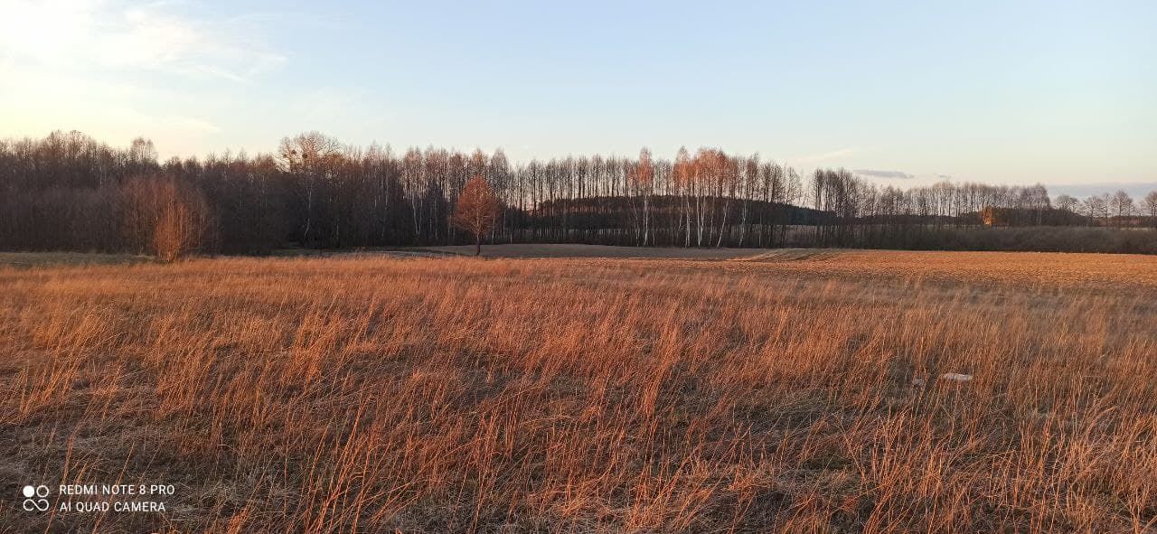 Działka budowlana Rybno, ul. Topolowa. Zdjęcie 4