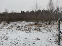 Działka rolna Nowa Wieś. Zdjęcie 2