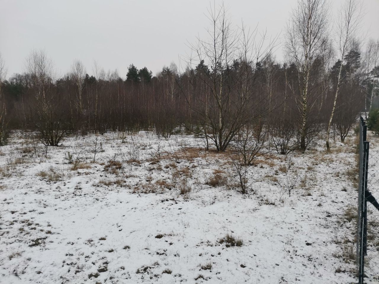 Działka rolna Nowa Wieś. Zdjęcie 3