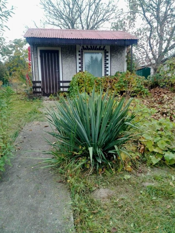 Działka rod Poddębice