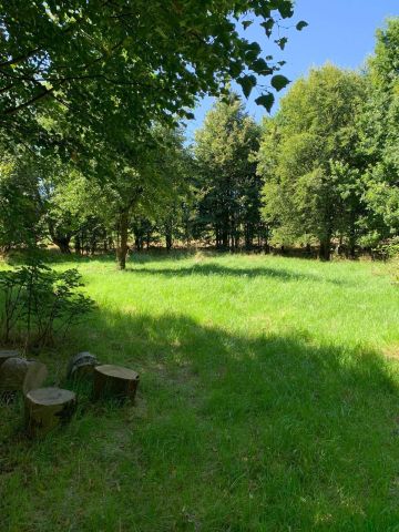 Działka budowlana Giebułtów Augustów. Zdjęcie 1