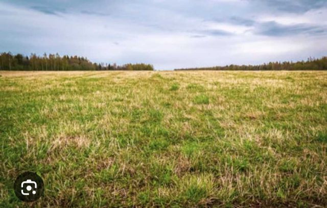 Działka budowlana Kwiatkowice. Zdjęcie 1