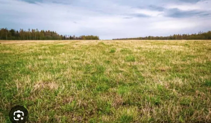 Działka budowlana Kwiatkowice