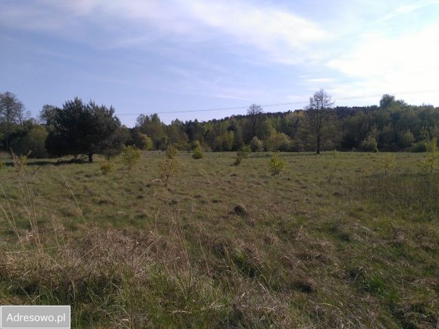 Działka rolna Kielce. Zdjęcie 1