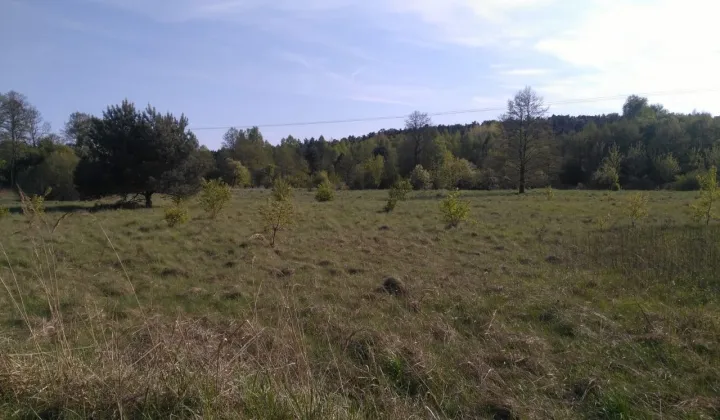 Działka rolna Kielce