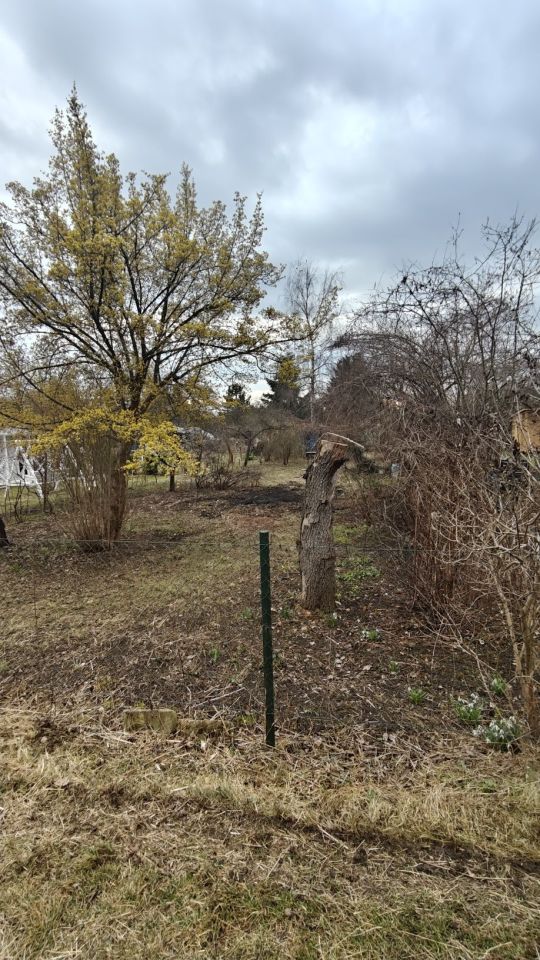 Działka rod Wrocław Śródmieście, ul. Odona Bujwida. Zdjęcie 2