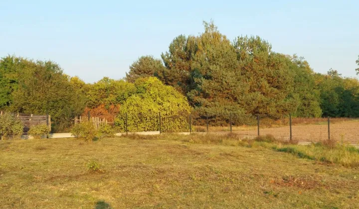 Działka budowlana Osiek nad Wisłą, ul. Wiśniowa