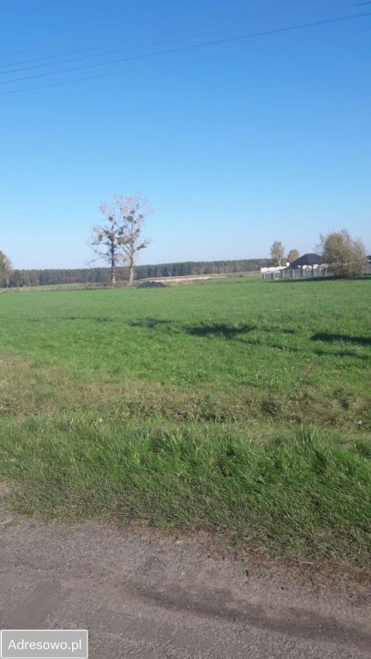 Działka rolno-budowlana Grabownica. Zdjęcie 4