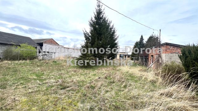 Działka Polichno. Zdjęcie 9