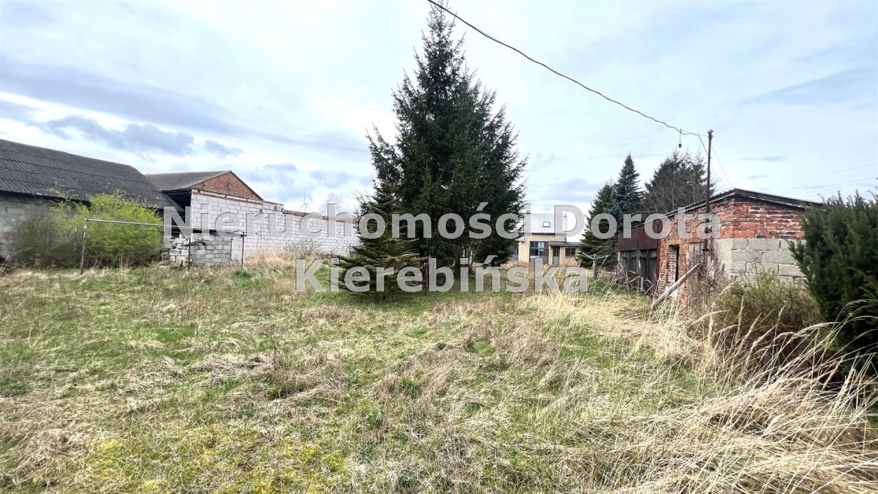 Działka Polichno. Zdjęcie 9