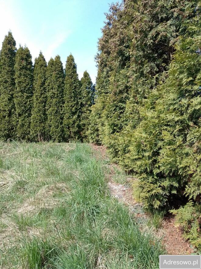 dom wolnostojący, 2 pokoje Grabówka, ul. Bordynowska. Zdjęcie 9