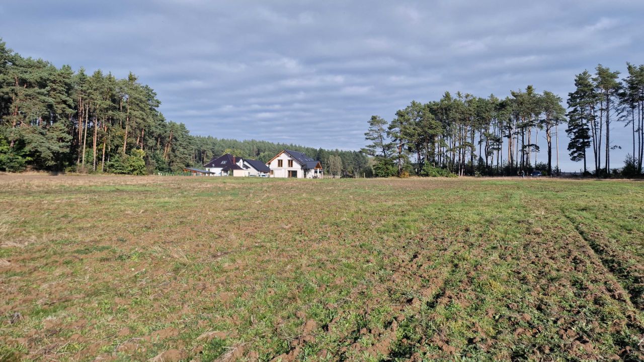 Działka rolno-budowlana Pszczew. Zdjęcie 4