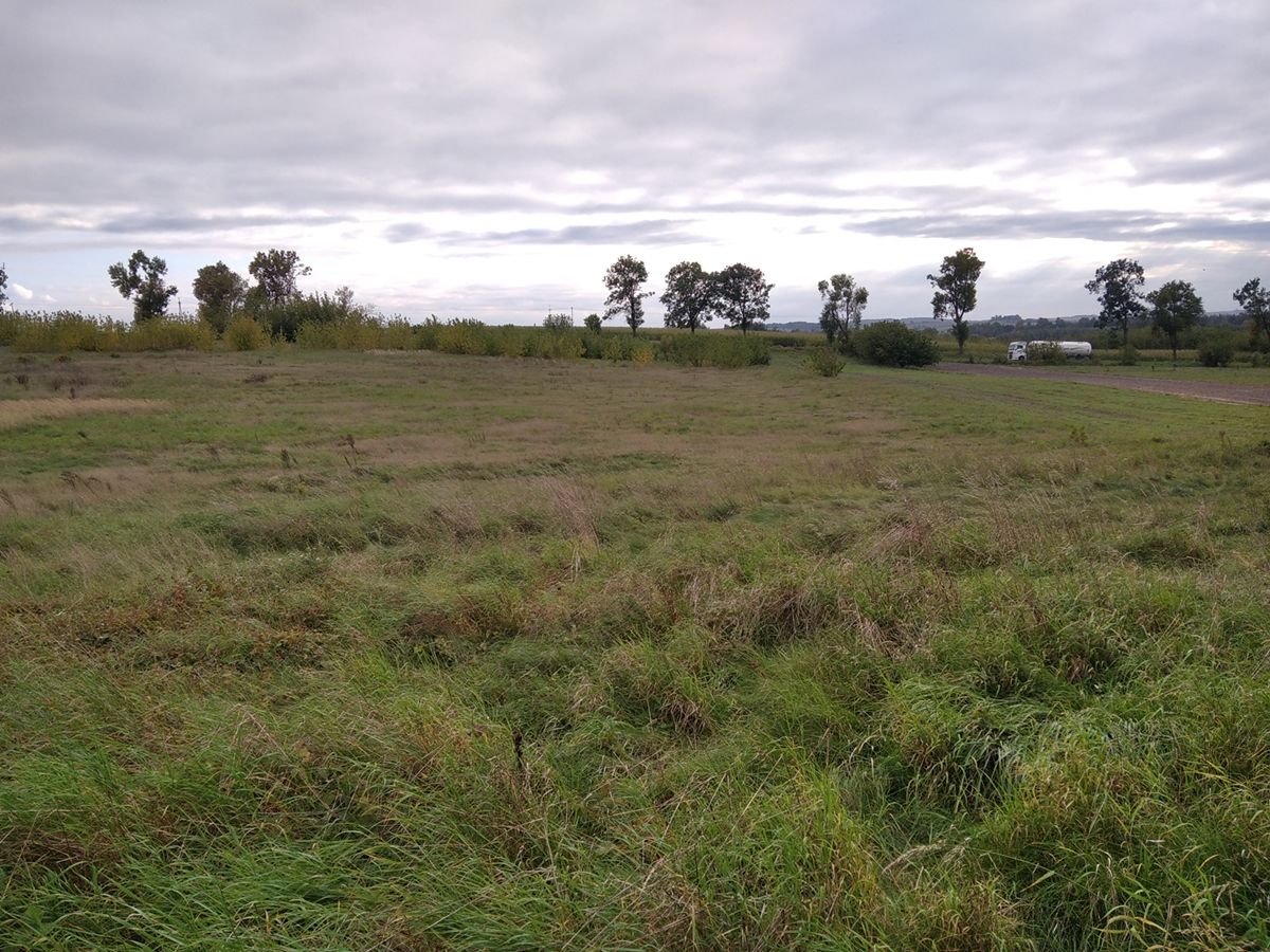 Działka inwestycyjna Lelów, ul. Szczekocińska. Zdjęcie 4