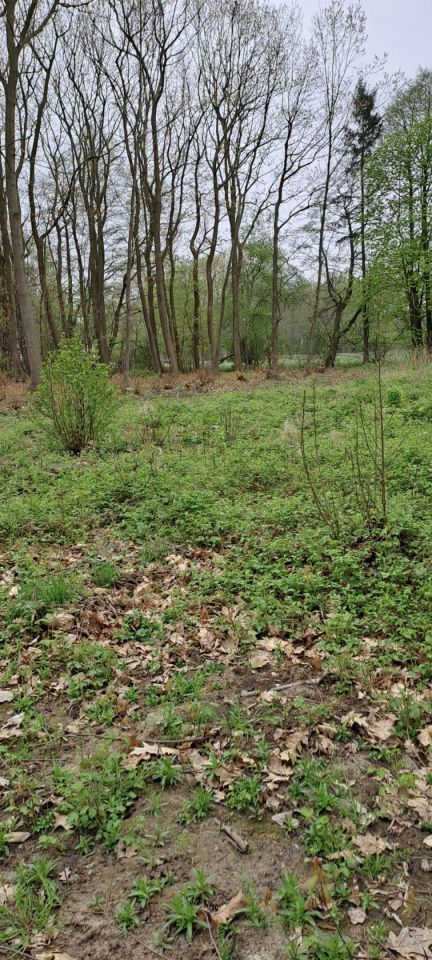 Działka budowlana Jantar, ul. Południowa. Zdjęcie 4