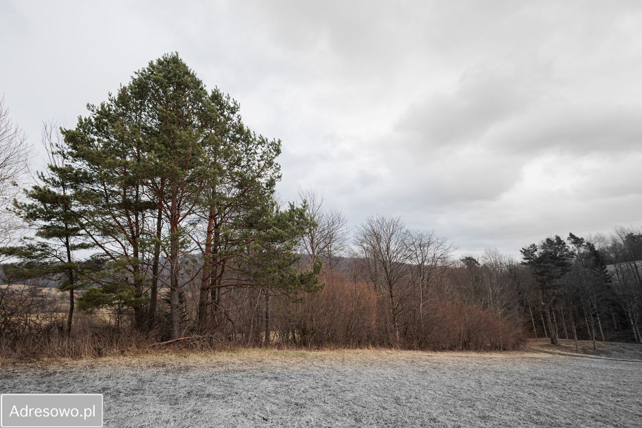 Działka leśna Kiełczawa